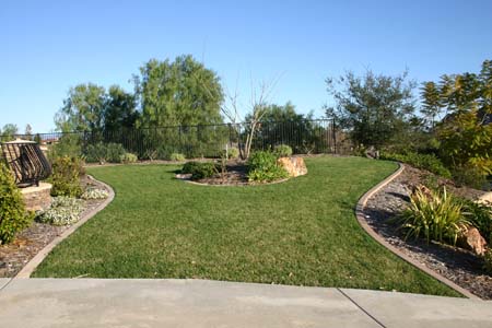 curbing on lawn edge